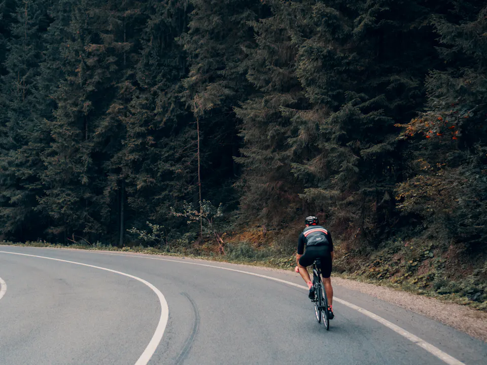 A cyclist on a road curving through a pine forest